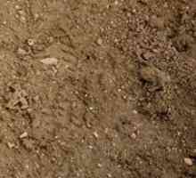 Анализ на почвата в крайградската зона Терен за изграждане, дълбочина на замръзване, почва при…