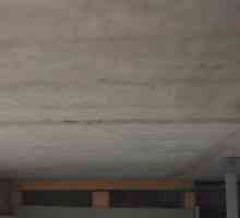 Бетон таван във вътрешността на апартамента като тренировка, боя