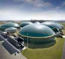 Завод за биогаз със собствени ръце