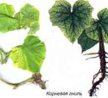 Биологични средства за растителна защита