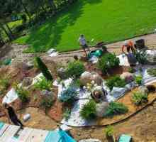 Озеленяване и градинарство на територията на къщата