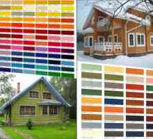 Как да нарисувате фасадата на дървена къща избор на материала и прилагането технология