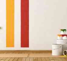 Как да нарисувате стени в кухнята видове и видове бои, техните характеристики, цветни инструкции