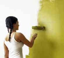 Почистване на боядисани стени, измиване на стените в апартамента