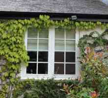 Дървени прозорци за дача - стилни и луксозни