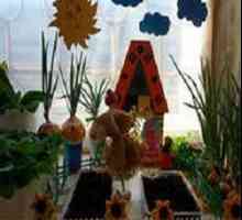 Детска градина, зеленчукова градина на прозореца