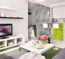 Едностаен апартамент в минималистичен стил