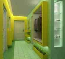 Дизайн на коридора в апартамента снимка - голям или малък коридор, осветление, зониране, декорация,…