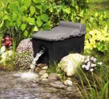 Филтър за почистване на градинското езерце със собствените си ръце 2 самостоятелни варианта