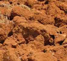Фондацията на глинеста почва е лента и на купчини, какво е по-добре да се направи?