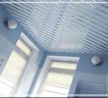 Окачен таван в банята - снимка и инсталация