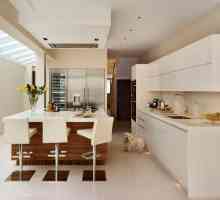 Кухненски интериор - 176 снимки от най-добрите дизайни