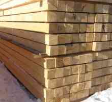Какво е по-добре да се изгради баня - от дървен материал, лъч или блокове?