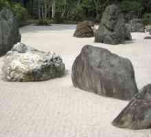 Японска градина от камъни в крайградската зона на дизайнерските функции, снимка Как да направите…