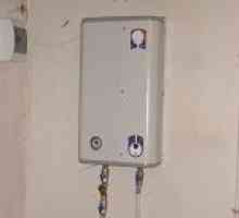 Електрически бойлер за отопление на вода за 220V