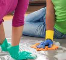 Как да изберем подходящите средства за измиване на пода? Практически съвети и обратна връзка от…