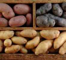 Как да съхранявате картофи на балкона в зимните кутии за съхранение на зеленчуци, как да направите,…