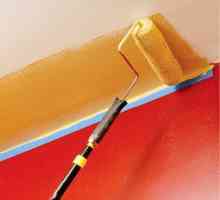 Как да се промият тавана с боя на водна основа, как правилно да се промива, видео-инструкции, снимка