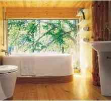 Как да изберем дизайна на баня в дървена къща препоръки и снимки