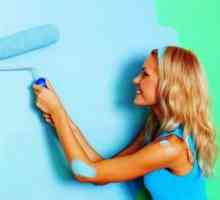 Как да нарисувате стените с препоръки за боядисване на технологията и начините за боядисване на…