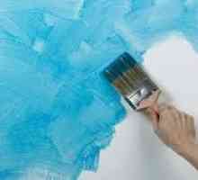 Как да нарисувате стените в банята със собствените си ръце - изберете подходящата боя, снимки на…
