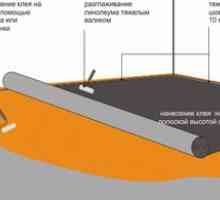 Как правилно да лепило линолеум върху бетона и как да залепете ръбовете с метода на студено…