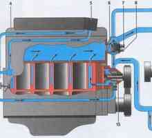 Как правилно да инсталирате допълнителния Помп на двигателя с газова печка 406