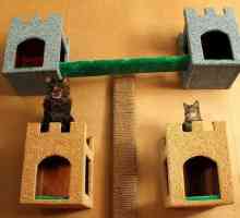 Как да направите къща за котка със собствените си ръце Увеличена къща под формата на замък