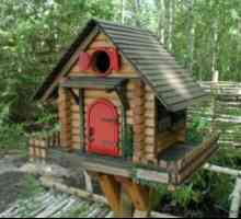 Как да си направите къщичка за птици с ръцете си, изработени от дърво, картон