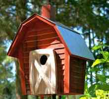 Как да направите една birdhouse от себе си?