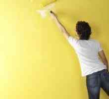 Как да премахнете боя от стените? Надеждни начини