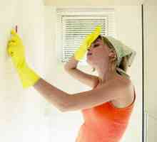 Как да премахнете гъби от стената