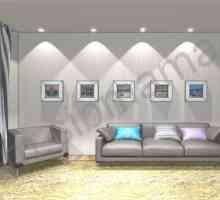 Как да украсите стена върху диван, 9 практични начина да декорирате - дизайна на хол