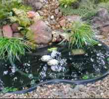 Как да инсталирате и оборудвате пластмасово градинско езерце