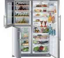 Как да изберем хладилник
