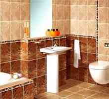 Как да изберем плочки за стените на банята?