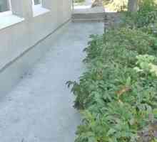 Как да излея бетон в двора?