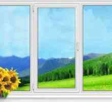 Кои пластмасови прозорци са най-подходящи за поставяне на видовете пластмасови прозорци