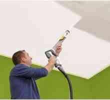 Какво пулверизатор да избере за боядисване на тавана?