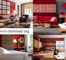Червени стени в интериорния дизайн - с какви цветове се комбинират най-добре?