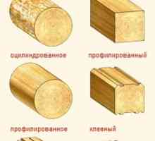 Най-добрият дизайн на видовете дървени къщи и описание