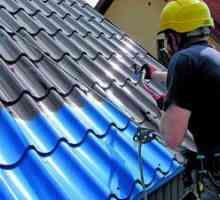 Възможно ли е да боядисвате метални покриви?