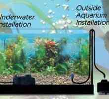 Помпа за аквариумни потопяеми, купувайте, вакуумни