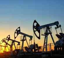 Относно въздействието на петролната криза върху развитието на алтернативни енергийни източници