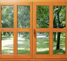 Прозорците трябва да бъдат дървени Предимства и недостатъци на дървени прозорци