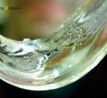 Оправдано ли е използването на течно стъкло за хидроизолация в строителството?