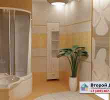 Характеристики на завършване на банята в панелна къща