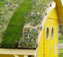 Озеленяване на покрива на частни и жилищни сгради