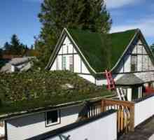 Озеленяване на покрива