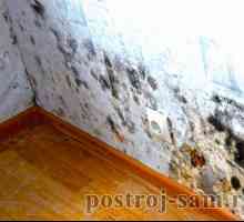 Защо потта и мокрите стени в къщата и как да я оправяте